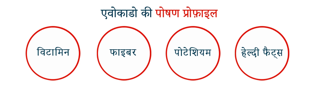 Nutrition Profile of Avocado in Hindi